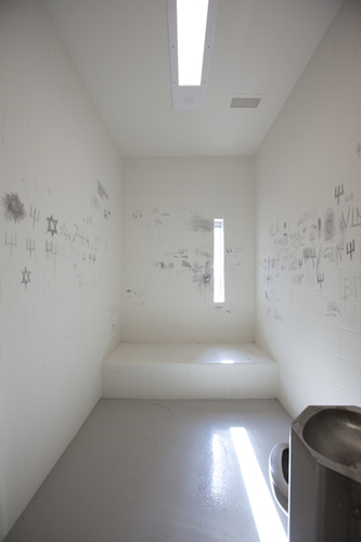 MJTC Mendota Juvenile Treatment Center for mentally and emotionally disturbed juveniles