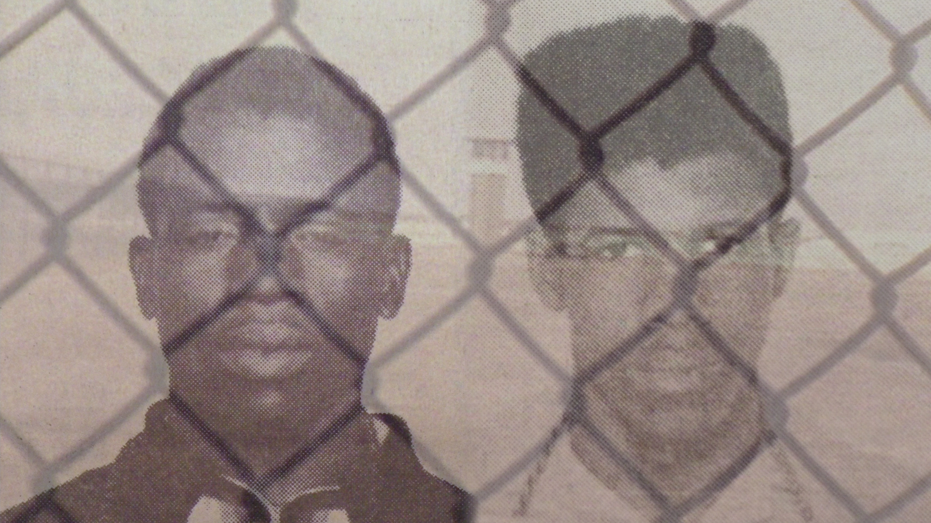 In the land of the free herman and albert